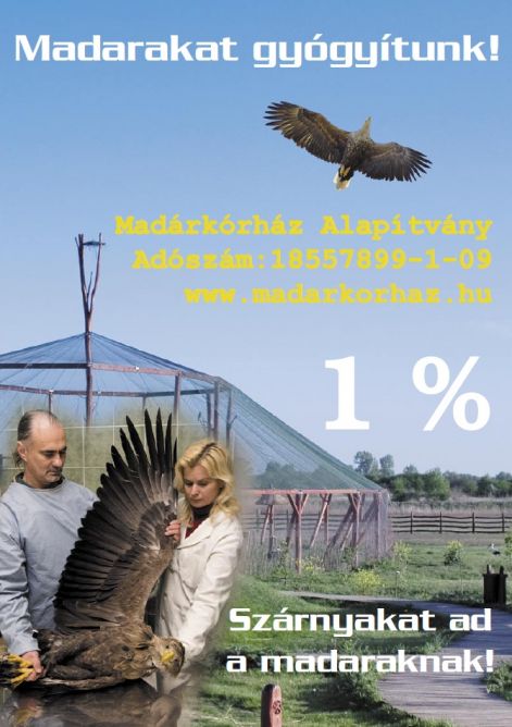 ado1.jpg